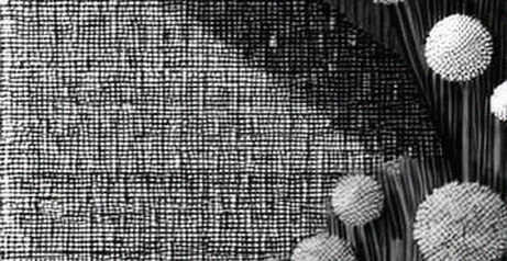 The N/A Protocol: When Blockchain Analysis Yields Nothing But Empty Templates The N/A Protocol: When Blockchain Analysis Yields Nothing But Empty Templates